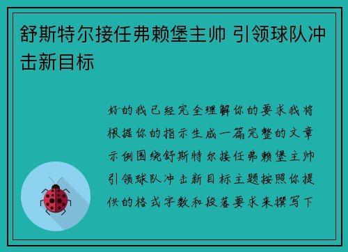舒斯特尔接任弗赖堡主帅 引领球队冲击新目标 舒斯特尔接任弗赖堡主帅 引领球队冲击新目标